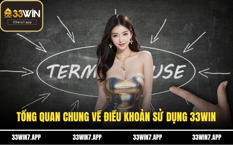 Tổng quan chung về điều khoản sử dụng 33WIN